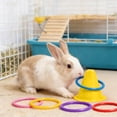 thumbnail image 3 of BotaniNest Rabbit Interactive Educational Interesting Rabbit Rings And Games Suitable For Small Animals Squirrels Birds Cats Hamsters Indoor Or Cages, 3 of 5