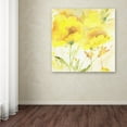 thumbnail image 3 of Trademark Fine Art "Sunlight Blooming" Canvas Art by Sheila Golden, 3 of 3