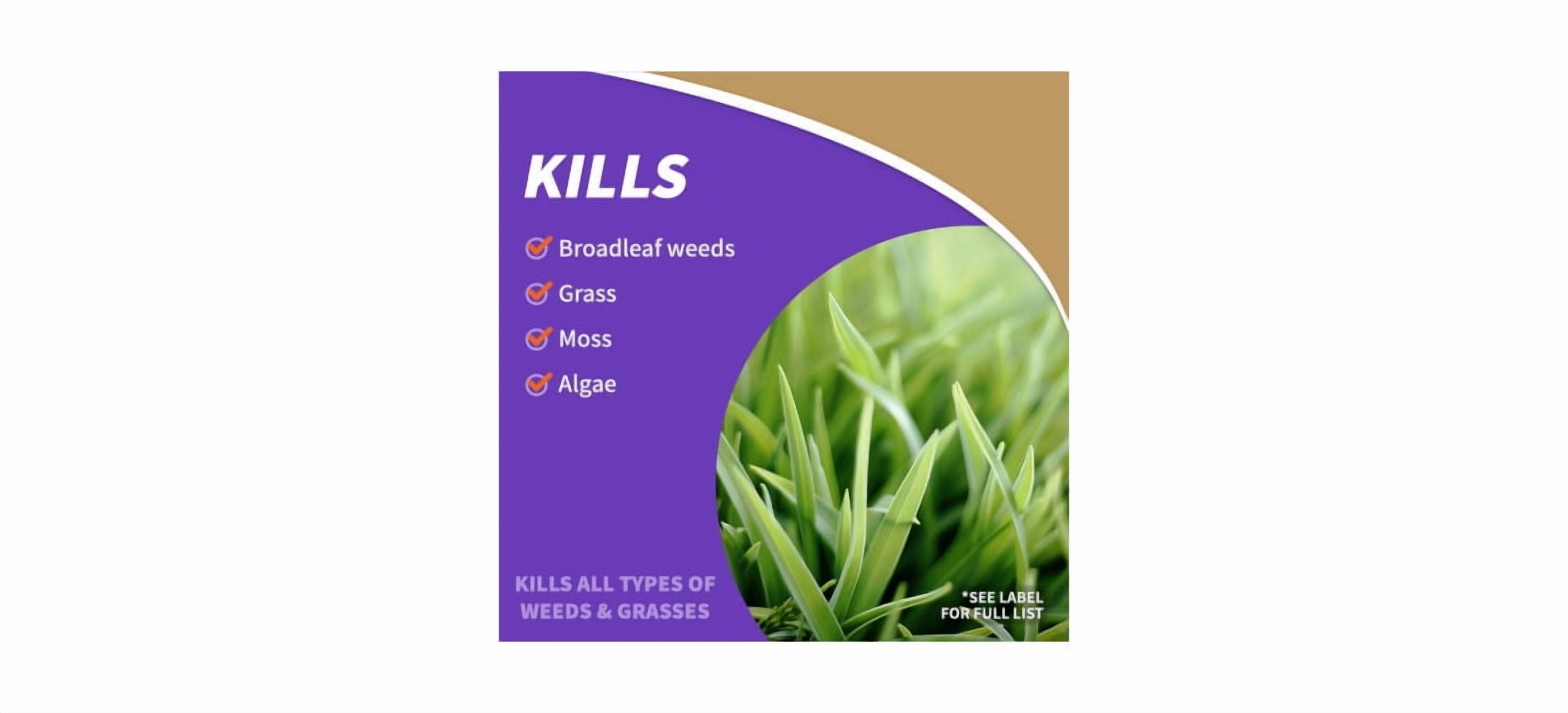 Bonide Captain Jack's Broadleaf Weed Killer Concentrate - Weed & Grass Killer - 32 Oz