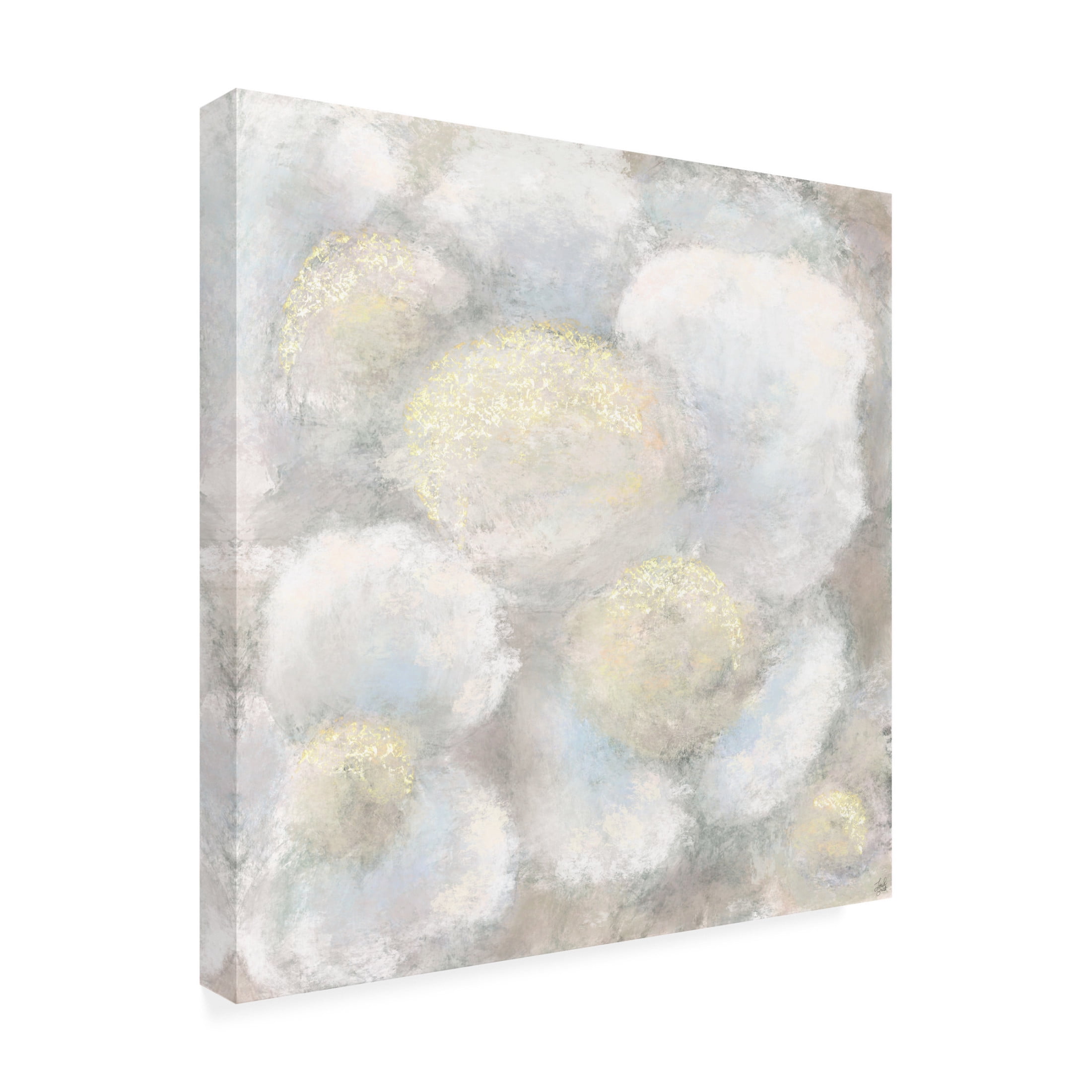 Canvas Wall Art - Line and Brush 'Close Up Softy Florals' Wall Art for Living Room, Bedroom, or Office Décor by Trademark Fine Art - 18 x 18 Inches