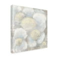 thumbnail image 2 of Canvas Wall Art - Line and Brush 'Close Up Softy Florals' Wall Art for Living Room, Bedroom, or Office Décor by Trademark Fine Art - 24 x 24 Inches, 2 of 4