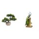 thumbnail image 1 of Árbol bonsái artificial,Bonsái artificial para decoración de escritorio o interior,Bonsái artificial,planta falsa en maceta.,Figura de escritorio,Estatua de pavo real en, 1 of 8