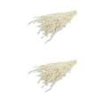 thumbnail image 4 of Ramo seco de caña de flores secas Cateissary 30 piezas decoración para fiesta de boda, 4 of 6