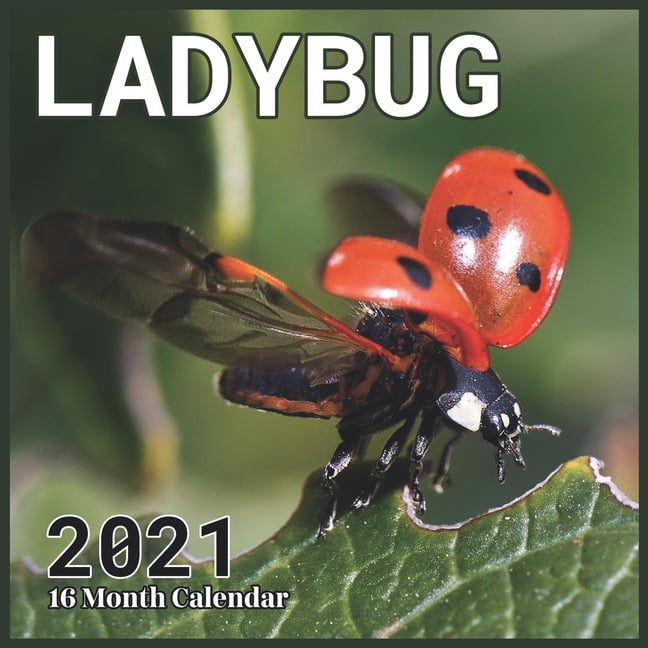 Ladybug Calendar 2021 : Cute Animals Calendar 2021, Wall & Office Calendar 2021-2022 Size x Inch,16 Month Calendar 2021 For Women, Men, Kids & Animal Lovers (Paperback) Ladybug Calendar 2021 : Cute Animals Calendar 2021, Wall & Office Calendar 2021-2022 Size x Inch,16 Month Calendar 2021 For Women, Men, Kids & Animal Lovers (Paperback)