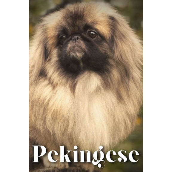 Pekingese : Dog breed overview and guide (Paperback)