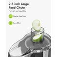thumbnail image 2 of SiFENE 350W Compact Centrifugal Juicer Machine, Juice Maker for Vegetable and Fruit with 3 Speed Setting, Easy to Clean, Black, 2 of 8