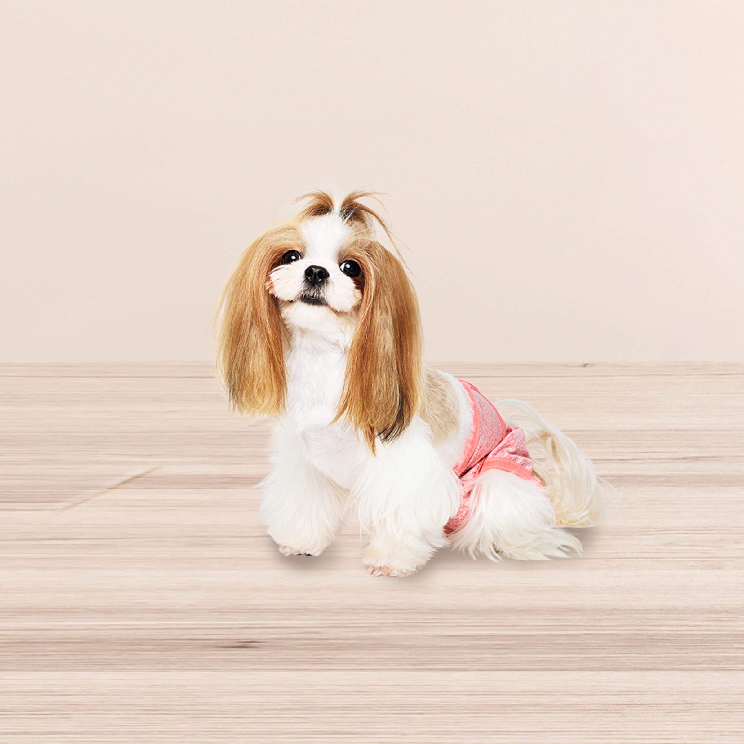 (3 pack) Vibrant Life Washable Dog Diapers for Female Dogs, Small, 3 Count