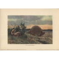 thumbnail image 2 of Primitive Men With Spears Hunting A Glyptodona Poster Print By ® Florilegius Mary Evans (36 X 24), 2 of 4