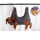 thumbnail image 3 of juguetes de descompresión Ayudante de hamaca para gatos y perros Zhivalor YZY1017-2, 3 of 4