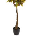 thumbnail image 3 of Nearly Natural 9113 Arbre Artificiel en Croton de 5 Po, 3 of 3