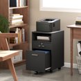 thumbnail image 2 of Vinsetto 2 Drawer Filing Cabinet with Lock for A4 Letter Size, Black, 2 of 10
