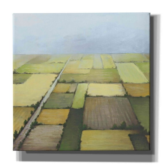 Epic Graffiti'Farmland From Above' by White Ladder, Giclee Canvas Wall Art, 37"x37"