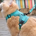 thumbnail image 3 of Blue Adjustable Cat Harness and Leash Set Escape Proof Vest Breathable Mesh Reflective Pet Harness with 59 in Nylon Leash for Cats and Small Dogs Walking Training 23x19 cm, 3 of 9