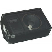Club V Series 10" Floor Monitor (Carpeted)