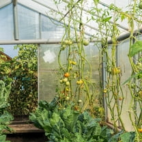 HOMEMAXS Plastic Repair Tape Waterproof Waterproofing Sealer Greenhouse