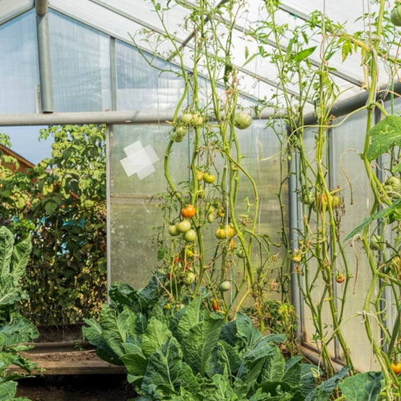 HOMEMAXS  Plastic Repair Tape Waterproof Waterproofing Sealer Greenhouse