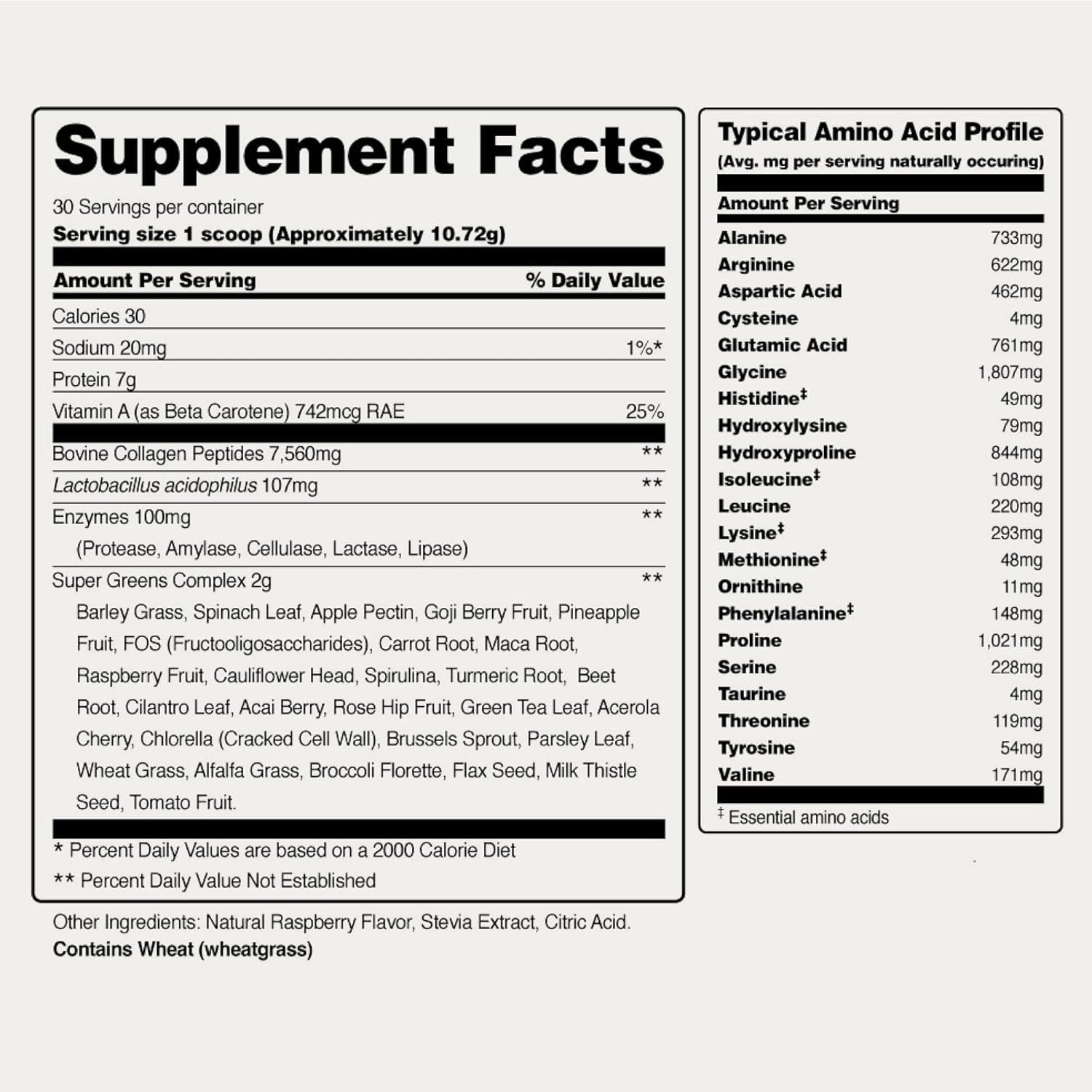 Snap Supplements Collagen Peptides with Super Greens, Digestive Enzymes, Probiotics, Turmeric - 30 Servings