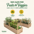 thumbnail image 3 of Greenes Fence 96" x 96" x 16.5" Beige Cedar Raised Garden Bed with CritterGuard Fencing, 3 of 8