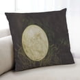 thumbnail image 1 of Ahgly Company Sport Golf Coussin Intérieur, 18 Pouces par 18 Pouces, 1 of 6