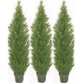 thumbnail image 1 of Silk Tree Warehouse Three 5 Foot Artificial Topiary Cedar Trees Potted Indoor Outdoor Plants, 1 of 2
