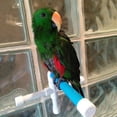 thumbnail image 3 of Flmtop Durable Wall Sucker Bird Parrot Bathing Washing Standing Bracket Pet Toy Tool Random Color, 3 of 6