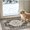 Black, variant on Hallway 2x6 Washable Runner Rug: Vintage Low Pile Blue Rugs for Kitchen Bedroom Oriental Stain Resistant Bathroom Carpet Accent Floor Mat with Non-Slip Backing for Laundry Home Office (2x6,Blue)