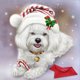 thumbnail image 2 of Cuadros Decorativos 5D DIY Diamond Painting Kits Full Square Drill Christmas Havanese Mosaic Picture Tmvgtek embutido en tela, 2 of 8