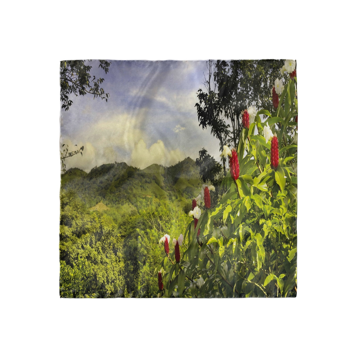 Wildflowers in Grass Ambesonne Flowers Head Scarf Hair Wrap