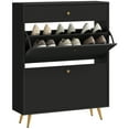 thumbnail image 1 of HOMCOM Shoe Storage Cabinet w/ 2 Flip Drawers for 12 Pairs of Shoes, Black, 1 of 10