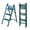 Green, variant on CONCETTA Aluminum alloy 2 Step Ladder, Folding Step Stool with Anti-Slip Pedal, Lightweight Portable Ladder for Home, Workplace, 330lbs Capacity, Rose Gold