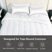 WQSPRING Reversible Satin Comforter Set 3-Piece, White Queen, Lightweight All-Season Bedding