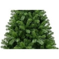 thumbnail image 5 of Puleo 6.5ft Dixon Pine Tree, 5 of 5