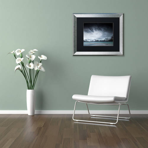 Trademark Fine Art "Over The Years" Canvas Art by Philippe Sainte-Laudy, Black Matte, Silver Frame