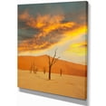 thumbnail image 2 of Vallée de la Mort Colorée avec Arbres Secs - Impression d'Art sur Toile de Paysage Africain, 2 of 3