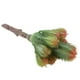 thumbnail image 4 of Plantas de cactus de imitación plástico artificial flor decoración para hogar manualidades de bricolaje 14 1 pieza 14.5 x 7cm Colco Cactus Artificial Suculento, 4 of 8