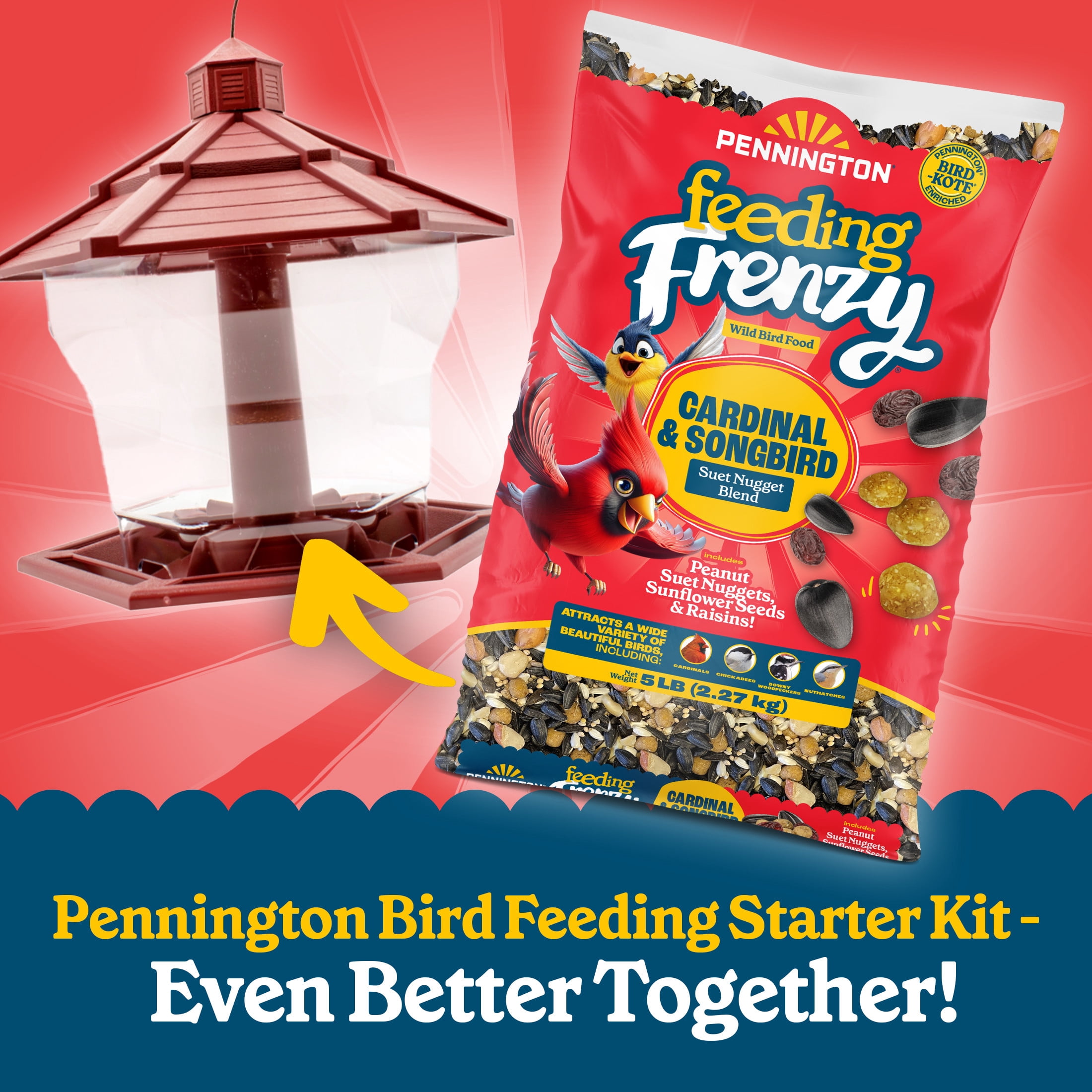 Pennington Bird Feeding Starter 5lb Red