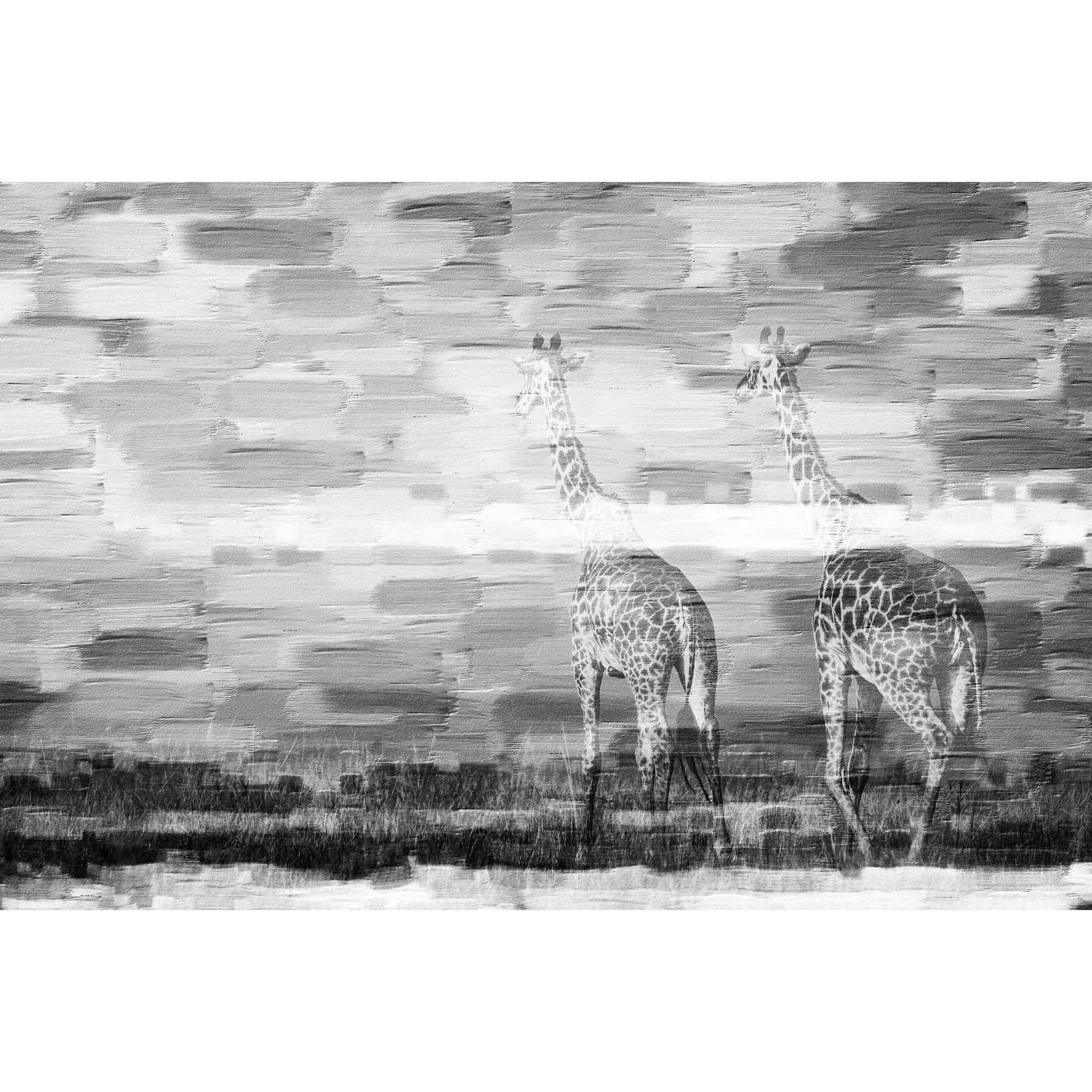 Parvez Taj "Giraffes" Print on Canvas