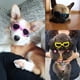 thumbnail image 3 of Gafas de sol para perros, gafas de sol para mascotas, gafas de sol plegables para perros con protección UV, 3 of 5