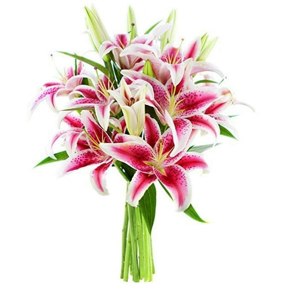 KaBloom : Bouquet of Fresh 8 Stargazer Lilies, Next-Day Delivery, Gift for all occasions