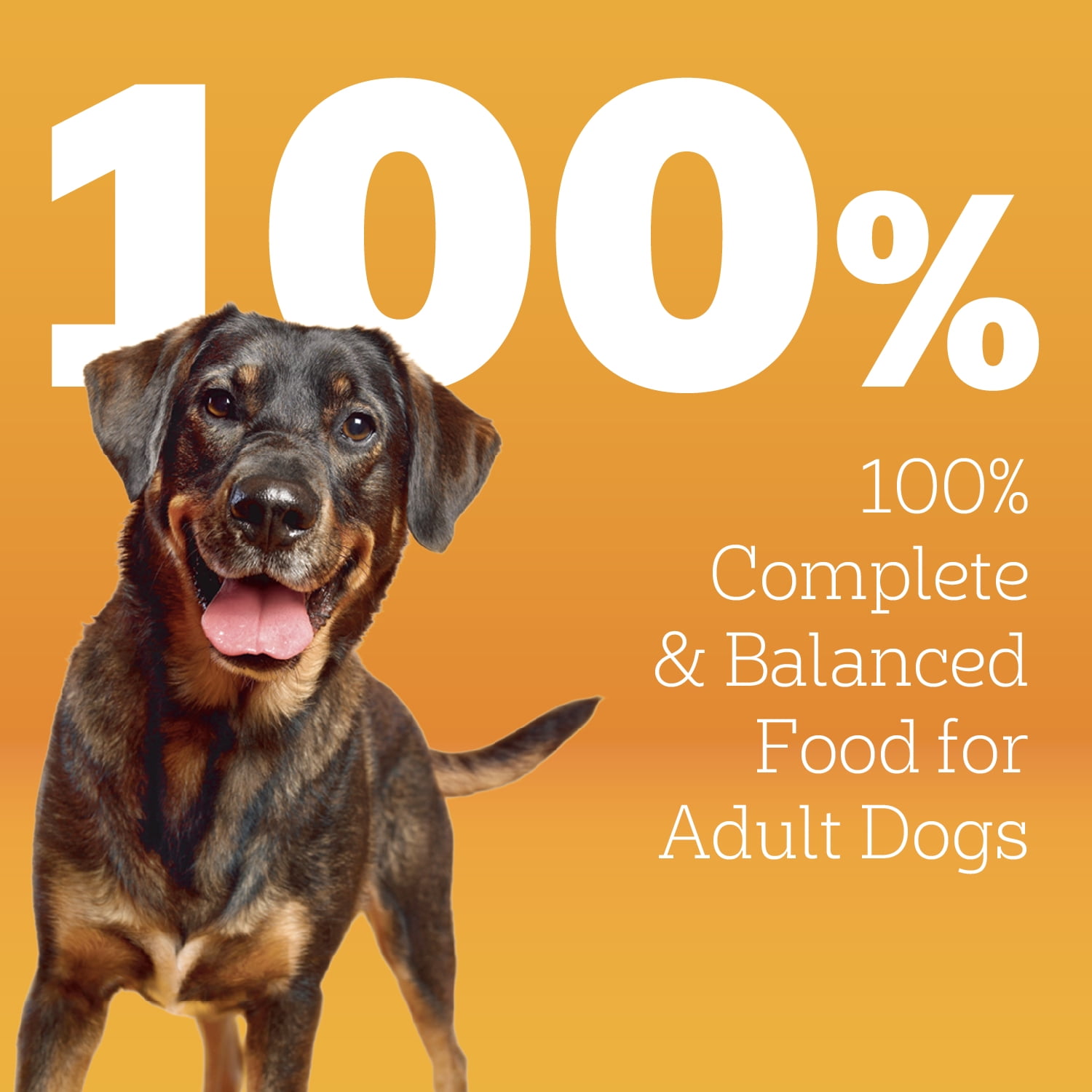 Pedigree Dry Dog Food for Adult Dogs, High Protein, Beef and Lamb Flavor, 40 lb. Bag
