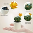 thumbnail image 3 of Plastic pots, artificial tropical cactus, bonsai, creative small ornaments, artificial flowers and green plants - type:style4;, 3 of 5