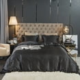 thumbnail image 2 of Move Over Black Satin Ruffle Duvet Cover Set Twin 2 Pieces Farmhouse Solid Color Silky Ruffled Bedding Sets No Filling, 2 of 8