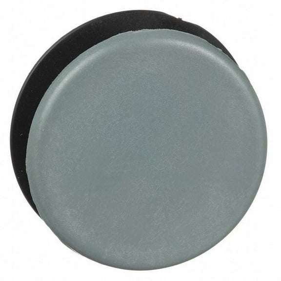 Schneider Electric Blanking Plug, 30 mm, Metal, Gray 9001K51