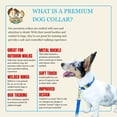 thumbnail image 3 of Country Brook Petz® Premium Nylon Dog Collar with Metal Buckle for Small Medium Large Breeds (Medium, 3/4 Inch, Yellow), 3 of 6
