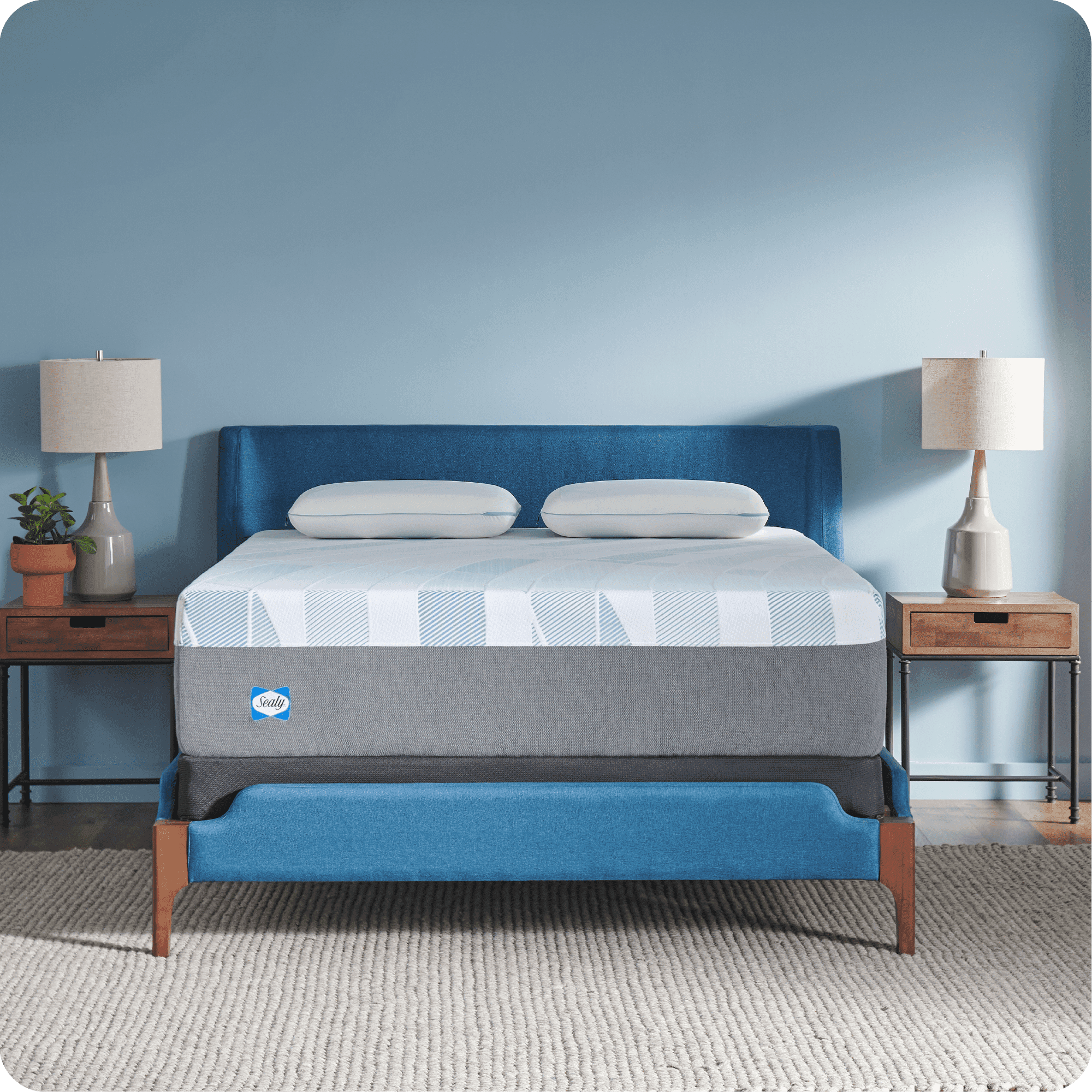 Sealy Dreamlife 14” Full Hybrid Mattress-in-a-Box, Adult