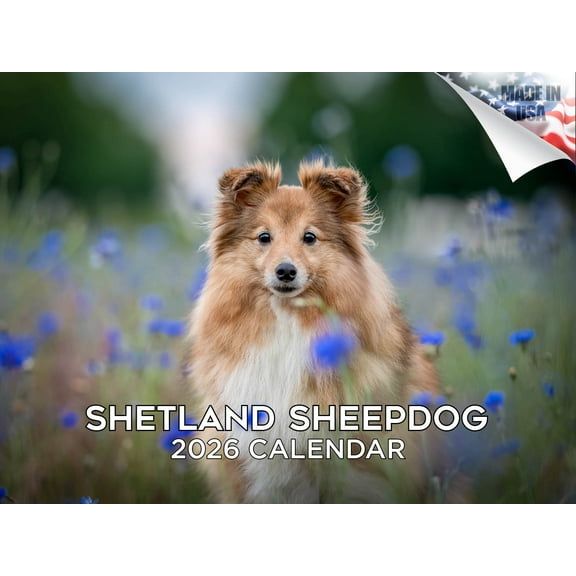 2025 2026 Shetland Sheepdog Calendar - Dog Breed Monthly Wall Calendar - 12 x 18 Open - Thick No-Bleed Paper - Giftable - Made in USA