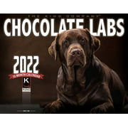 2022 Chocolate Labrador Dog Wall Calendar 16-Month X-Large Size 14x22, Chocolate Lab Dog Calendar by The KING Company-Monster Calendars