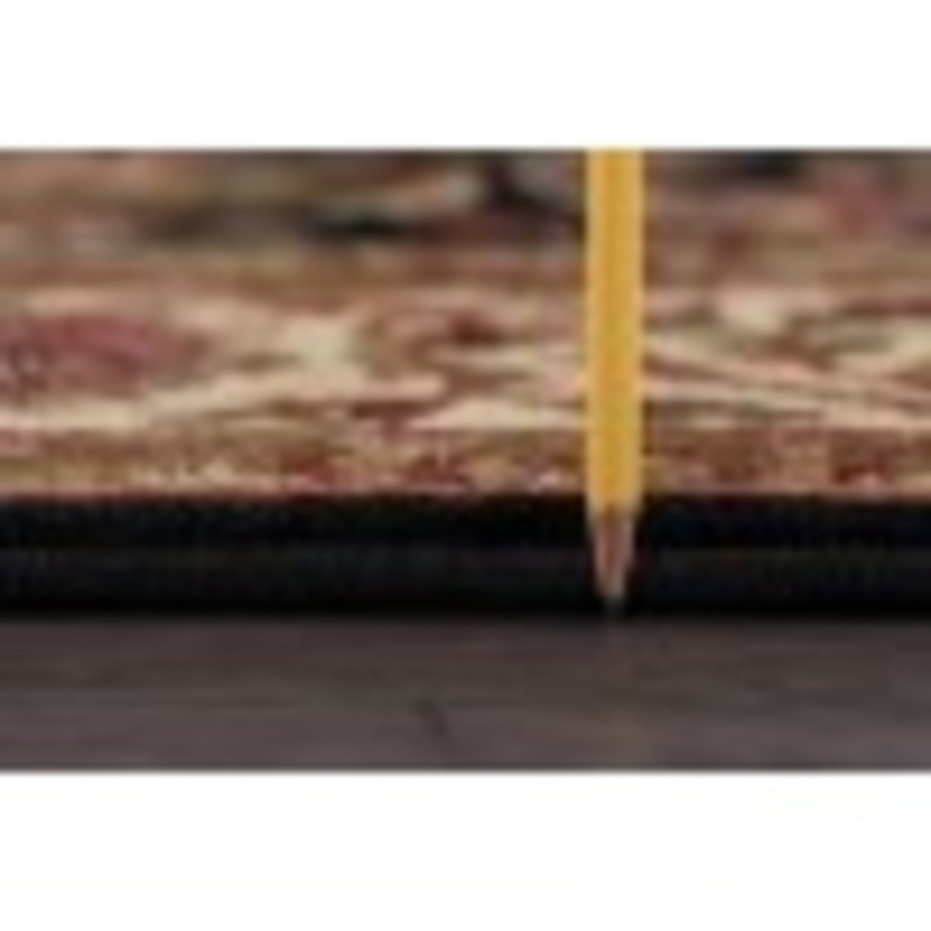 Traditional 2x3 Area Rug (2' x 3') Border Black, Beige Indoor Scatter Easy to Clean