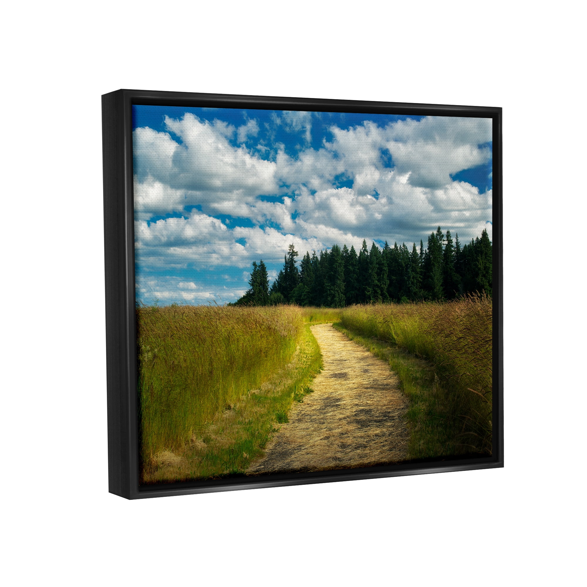 Stupell Industries Cloudy Rural Path Grassland Landscape Photography Black Floater Framed Art Print Wall Art