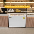 thumbnail image 2 of Congelador Tapa de Cristal Plano Rhino 161L, Función Dual Congelador/Refrigerador, Uso Comercial, CONGECRI-7P, 2 of 10